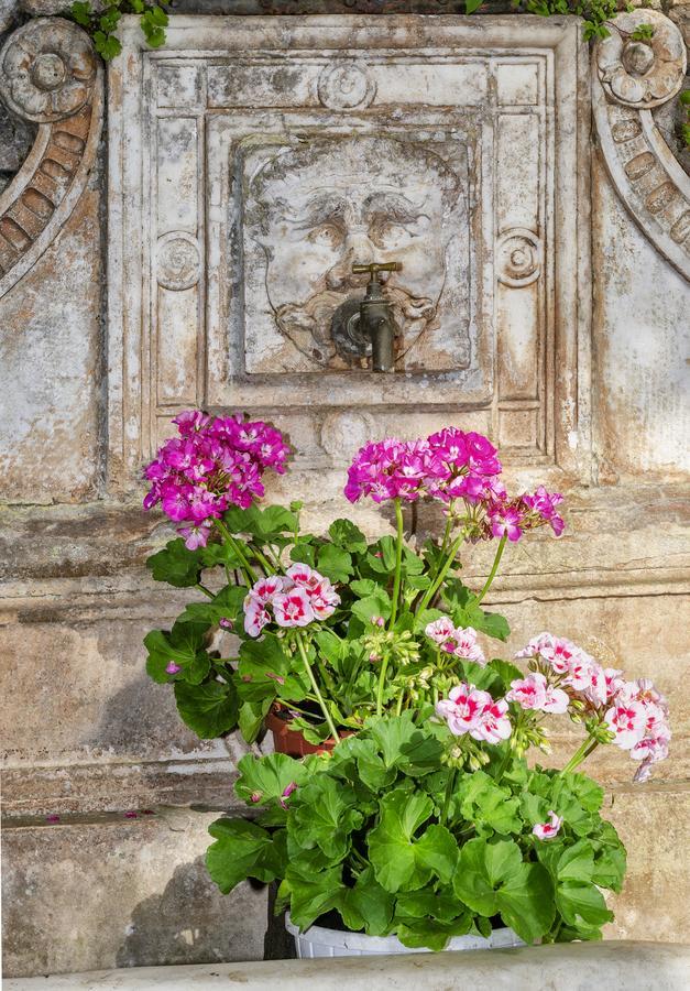 Hotel Casa Diocesana Di ルッカ エクステリア 写真